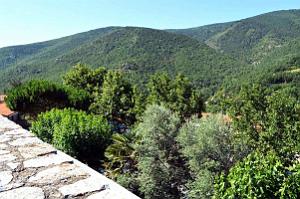 Mosset 010